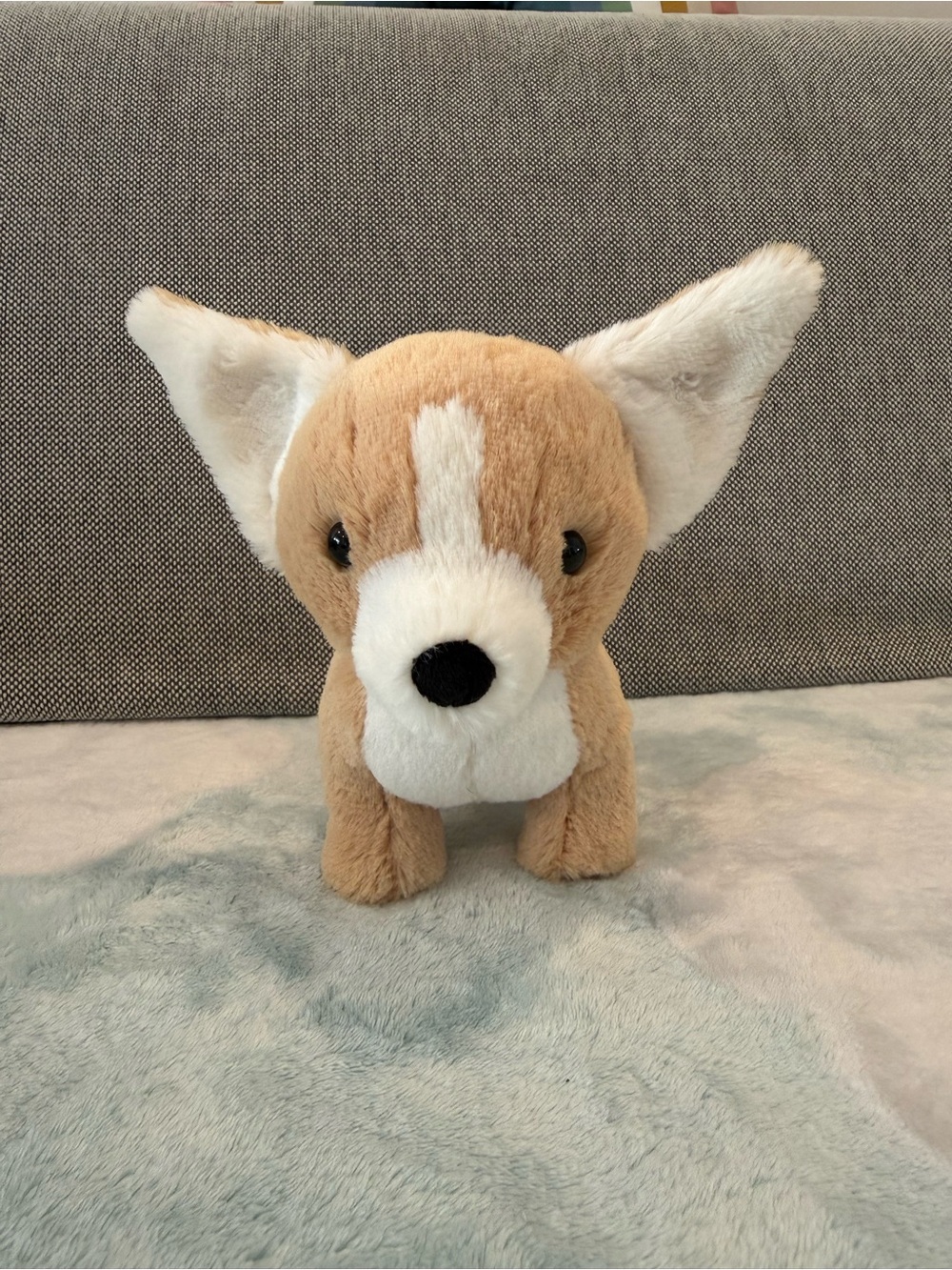 Jellycat Isobel Chihuahua BNWT